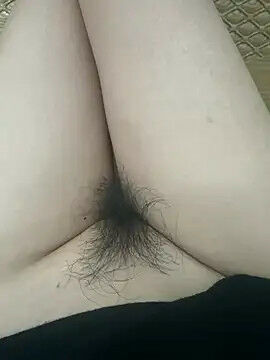 Hairy Stripchat Cam